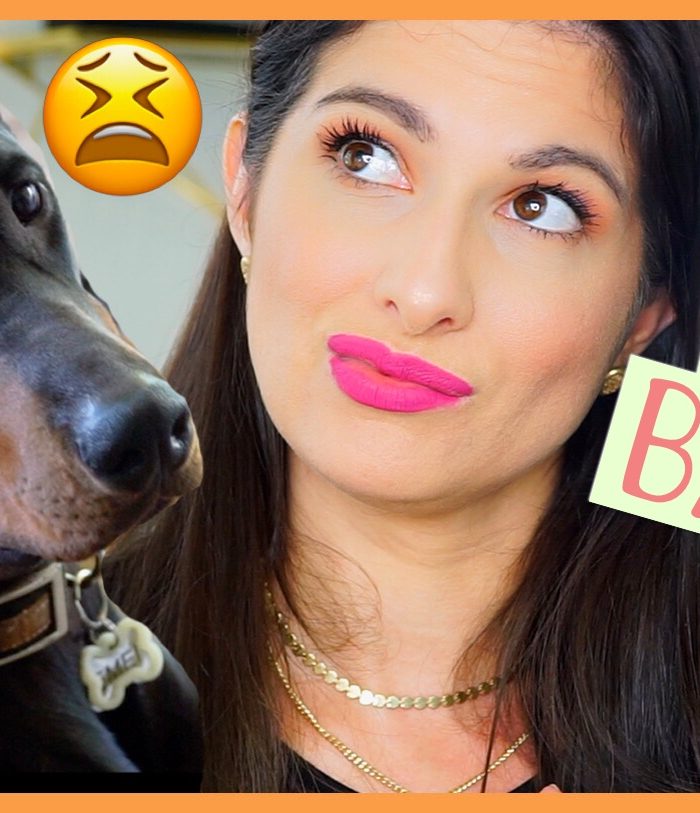 MY DOG PICKS MY MAKEUP!? | PART TWO, EMEI RETURNS! | DOBERMAN PICKS MY MAKEUP!